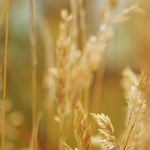 Why Your Environment is Critical to your Happiness and Success