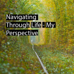 Navigating Through Life – My Perspective