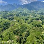 Cross-border Learnings